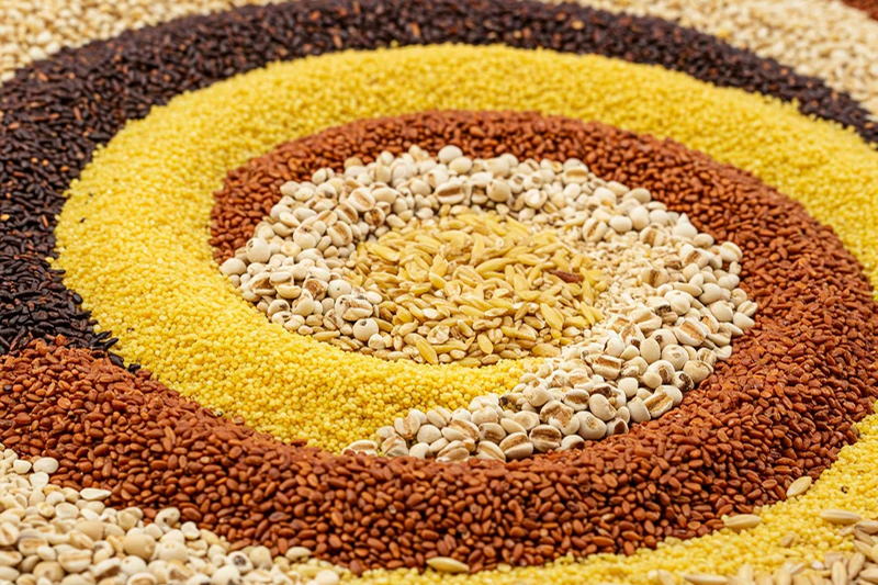 Best Foods for Exam Focus in Kids | Brain Nutrition Guide